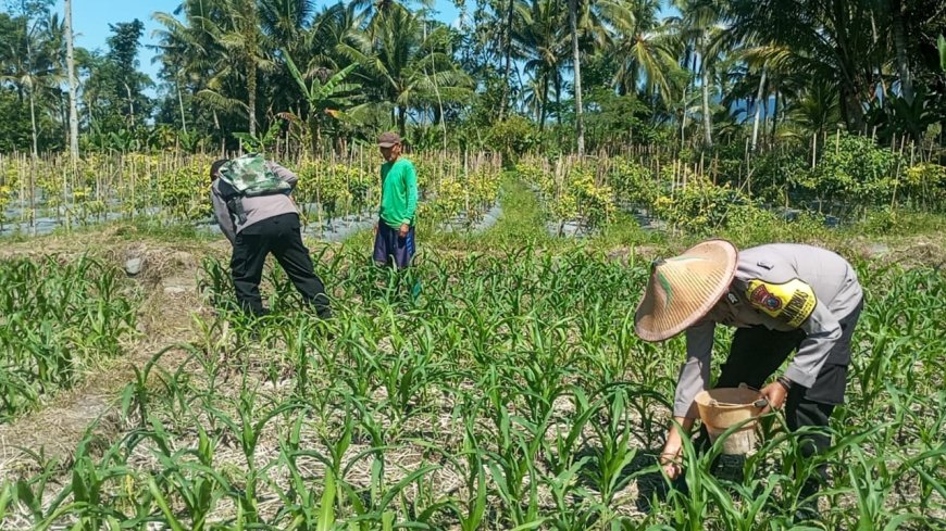 Polres Lumajang Terjunkan Personel  Penggerak Ketahanan Pangan Dampingi Warga Tani