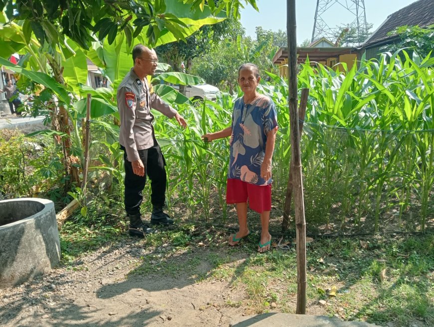 Polsek Pilangkenceng Dorong Masyarakat Manfaatkan Pekarangan Menjadi Lahan Produktif