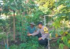 Dukung Ketahanan Pangan Nasional, Bhabinkamtibmas Bangunsari Ajak Masyarakat Manfaatkan Pekarangan Rumah