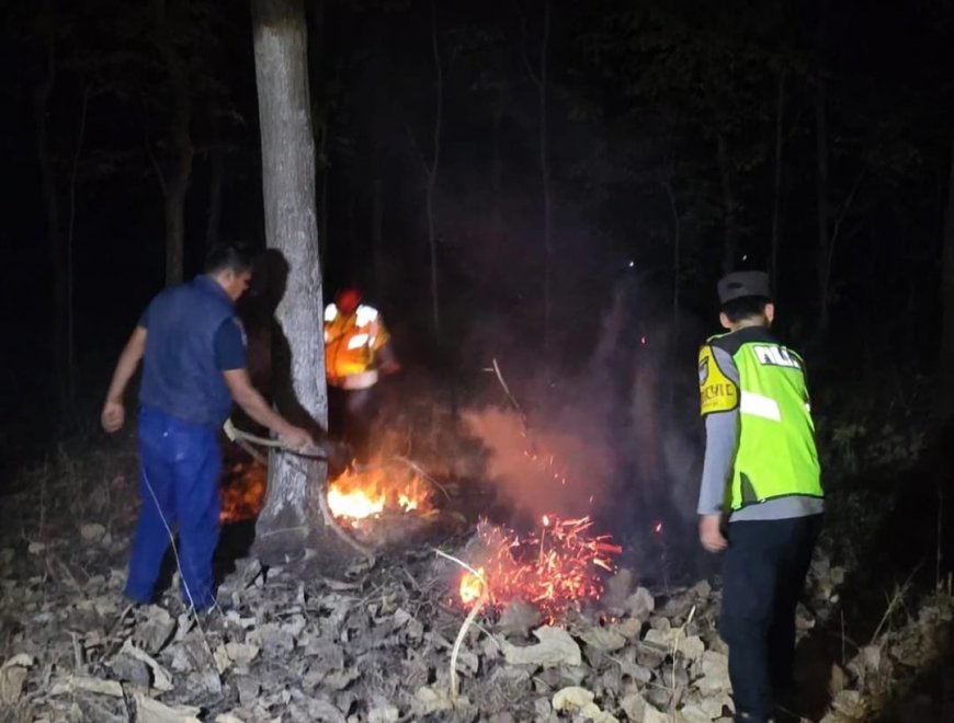 Respons Cepat, Polsek Widodaren dan Tim Gabungan Padamkan Titik Api Karhutla di Ngawi